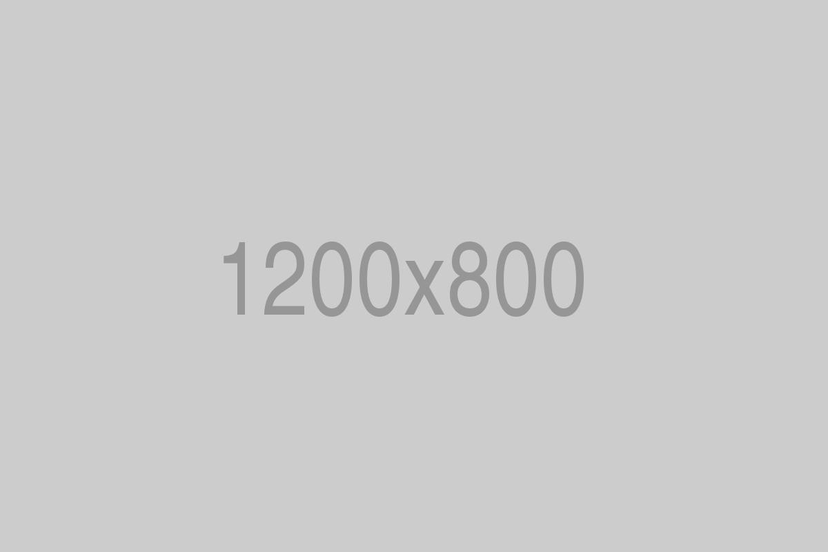 divi-treeservices-theme-9